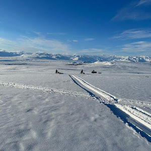 Meet your Posher, Tom shelley